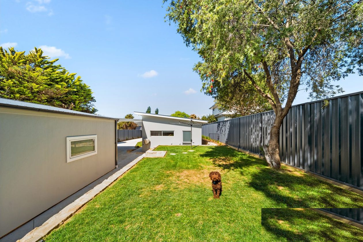 Landscaped rear yard with established tree